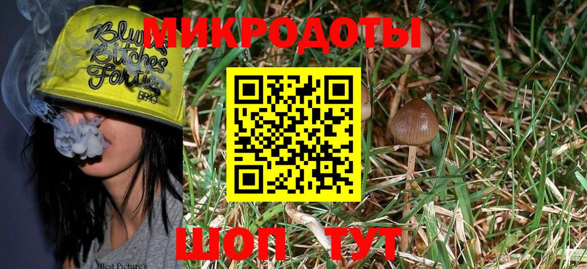 Павлово  Галлюциногенные грибы MAGIC MUSHROOMS  Вход с VPN  сколько стоит  Галлюциногенные грибы мухоморы 