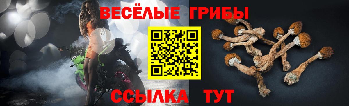 Галлюциногенные грибы ЛСД Павлово